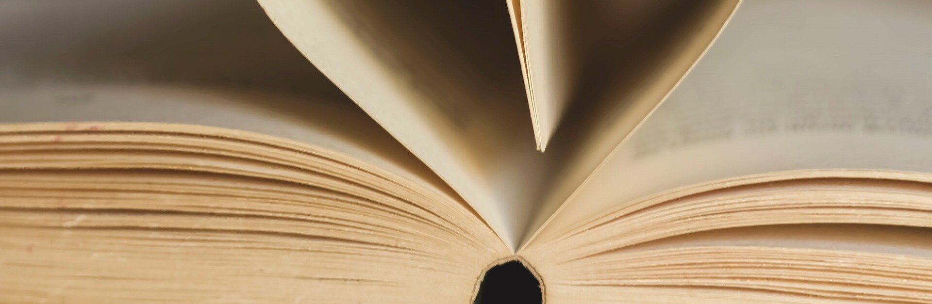 Buchseiten bilden ein Herz Buchseiten bilden ein Herz